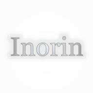 inorin логотип