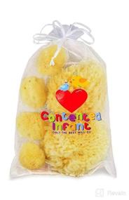 img 4 attached to Contented Infant® Real Sea Sponges for Babies - Premium Bath Care Set for Gentle and Safe Skin Care, Perfect for Newborns, Toddlers, and Kids - Baby Shower Spa Gift Set