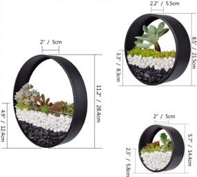 img 2 attached to Ecosides Round Indoor Wall Succulent Hanging Planter, Metal Decorative Freestanding Mount Holder With Glass For Air Plants, Faux Flower,Set Of 3 (Black)