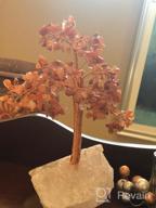 img 1 attached to KALIFANO 414 Gemstone Chakra Crystal Tree With Rose Quartz Base: Healing Properties For Love & Self Care - Bonsai Feng Shui Money Tree review by Nicole Walker