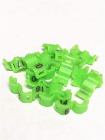 img 1 attached to fpigeon 2.7mm 3mm 4mm 4.5mm 5mm Birds Leg Clips Open snap Canary Parrot Rings Bands Number Plastic 1-20 (4mm,Green): Durable and Colourful Bird Leg Accessories for Identification and Monitoring