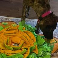картинка 1 прикреплена к отзыву Get Your Pup Engaged With AWOOF Snuffle Mat: A Durable Pet Feeding Mat To Encourage Natural Foraging Skills от Deborah Nystrom
