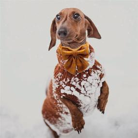 img 1 attached to Cotton Dog Collar with Bowtie: Adjustable & 🐾 Comfortable for Small, Medium, and Large Dogs by DOGWONG