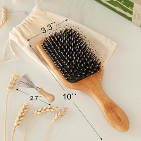 img 3 attached to Boar Bristle Hair Brush Men Detangling Hair Brushes For Women Mens Paddle Brush Bamboo Wooden Bore Natural Hairbrush For Shine Soft Fine Hair Reduce Frizz Dry Improve Hair Texture