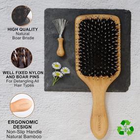 img 1 attached to Boar Bristle Hair Brush Men Detangling Hair Brushes For Women Mens Paddle Brush Bamboo Wooden Bore Natural Hairbrush For Shine Soft Fine Hair Reduce Frizz Dry Improve Hair Texture