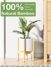 img 2 attached to Stylish And Adjustable Bamboo Plant Stand For Indoor Gardening - MUDEELA 8-12 Inches, Mid Century Modern Design (Natural)