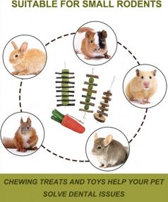 img 1 attached to Natural Handmade Small Animal Chew Treats For Guinea Pig, Bunny, Chinchilla, Hamster - KATUMO Rabbit Chew Toys