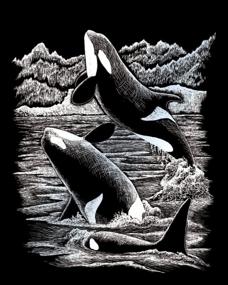 img 2 attached to Create Stunning Engraving Art With Royal And Langnickel - Orca Whales!