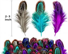 img 3 attached to 100Pcs 2-3In Color Feathers Bulk Pack For Dream Catcher Crafts Decoration - Piokio