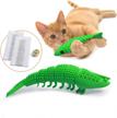 catnip toy and toothbrush in one: ronton's durable hard rubber cat chew toy for dental care and interactive play - 1-pack green logo