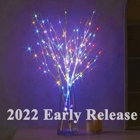 img 3 attached to Lighted Branches With 150 Warm White And Multicolor Fairy Lights, 8 Functions, 32 Inches - Perfect For Room And Christmas Holiday Decorations, By Hairui