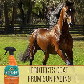 img 1 attached to Absorbine Santa Fe Coat Conditioner & Sunscreen - Non-Slippery Formula, 32oz Spray: Optimal for SEO