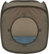 🐱 chesapeake bay brown kitty collapsible play cat cube: a flexible and pop-out delight logo