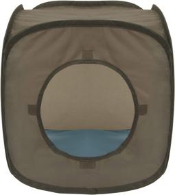 img 3 attached to 🐱 Chesapeake Bay Brown Kitty Collapsible Play Cat Cube: A Flexible and Pop-Out Delight