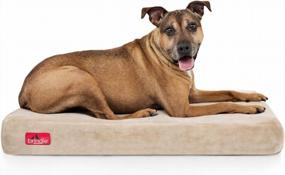 img 4 attached to Orthopedic Memory Foam Pet Bed With Waterproof Brindle Design, Removable Washable Cover, And Joint Relief - 4 Inches