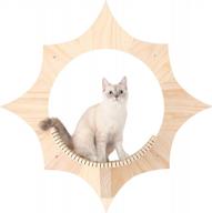 solar-powered cat heaven: wall mounted sun-shaped shelves, floating perch & solid wood tree logo