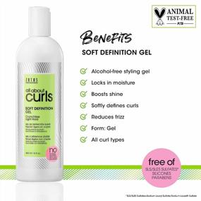 img 2 attached to Define, Moisturize & De-Frizz All Curly Hair Types With All About Curls High & Soft Definition Gel Crunchless Hold