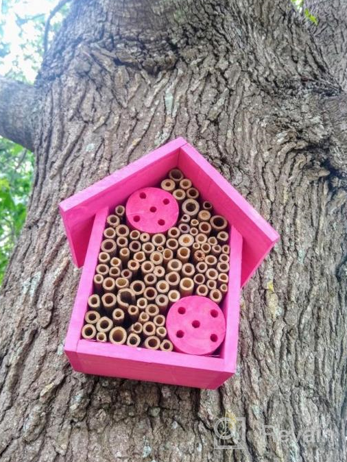 img 1 attached to FSC Certified Wood Mason Bee House For Solitary Bees - Attract Pollinators To Your Garden With Bamboo Tube Hotel. review by Mario Olmos