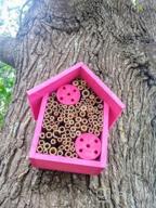 картинка 1 прикреплена к отзыву FSC Certified Wood Mason Bee House For Solitary Bees - Attract Pollinators To Your Garden With Bamboo Tube Hotel. от Mario Olmos
