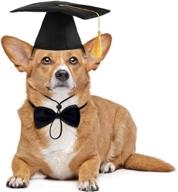 🎓 pet graduation cap and bowtie collar set - dog grad costume логотип