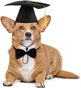 img 4 attached to 🎓 Pet Graduation Cap and Bowtie Collar Set - Dog Grad Costume