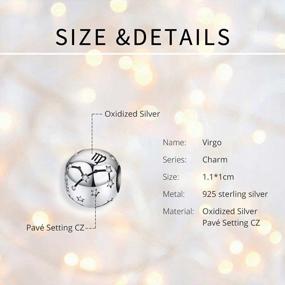 img 1 attached to 925 Sterling Silver Star Charms - 12 Horoscope Constellation Beads For Bracelets & Necklaces | Presentski Zodiac Sign Jewelry Charm Collection
