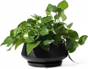 img 4 attached to POTEY 8.8 Inch Large Ceramic Plant Pots With Drainage Holes And Plugs For Indoor & Outdoor House Plants Such As Christmas Cactus, Scindapsus Aureum, And Ivy Vine - 805 Black