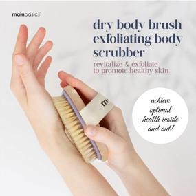 img 3 attached to Natural Bristle Exfoliating Body Brush - Boost Blood Circulation, Reduce Cellulite, And Promote Lymphatic Drainage With MainBasics Dry Body Scrubber For Dry Skin