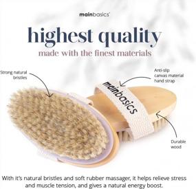 img 1 attached to Natural Bristle Exfoliating Body Brush - Boost Blood Circulation, Reduce Cellulite, And Promote Lymphatic Drainage With MainBasics Dry Body Scrubber For Dry Skin