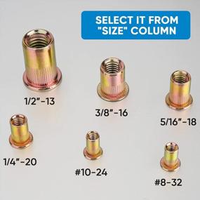img 1 attached to 30-Piece Zinc-Plated Carbon Steel Rivet Nut Kit With Knurled Body - Heavy Duty Flat Head Insert Nuts (SAE UNC 3/8"-16)