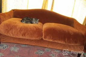 img 5 attached to Оранжевый бархатный чехол для дивана с 2 подушками Loveseat Высокоэластичный защитный чехол для мебели 3 предмета Толстый моющийся плюш для собак, домашних животных и детей - Lamberia