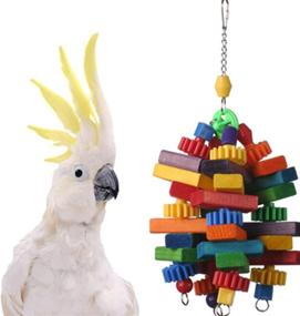 img 4 attached to 🐦 Super Bird Creations SB672 Top of the Heap Large Bird Toy: 15" x 6" x 6" - Interactive Play & Exercise for Your Bird