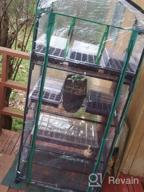 img 1 attached to Maximize Your Greenhouse Garden Space With The Gardman R687 4-Tier Mini Greenhouse review by Deonte Bates