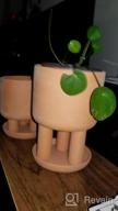 img 1 attached to Set Of 2 - 4.5" Terracotta Clay Plant Pots W/ 3 Legs & Saucer | Indoor Succulent Planters review by Jonathan Devarapalli