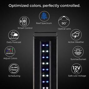 img 2 attached to 🔆 Revolutionize Your Saltwater Reef Aquarium with the CURRENT USA Orbit Marine IC LED Light with Wireless Control and Bluetooth App Integration
