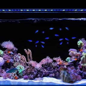 img 3 attached to 🔆 Revolutionize Your Saltwater Reef Aquarium with the CURRENT USA Orbit Marine IC LED Light with Wireless Control and Bluetooth App Integration