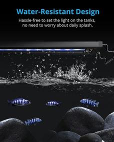 img 1 attached to 🐠 NICREW AquaLux White and Blue LED Aquarium Light - Adjustable Intensity, Timer, Sunrise & Sunset Function - 6W, 12-18 Inch