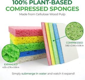 img 3 attached to 🧽 Airnex Biodegradable Cellulose Compressed Sponges - 16-Pack for Efficient Kitchen & Household Cleaning - Heavy Duty, Natural & Multipurpose Sponges Ideal for Kitchen, Bathroom, and Surfaces