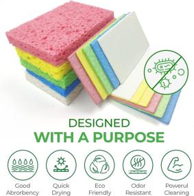 img 1 attached to 🧽 Airnex Biodegradable Cellulose Compressed Sponges - 16-Pack for Efficient Kitchen & Household Cleaning - Heavy Duty, Natural & Multipurpose Sponges Ideal for Kitchen, Bathroom, and Surfaces