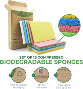 img 2 attached to 🧽 Airnex Biodegradable Cellulose Compressed Sponges - 16-Pack for Efficient Kitchen & Household Cleaning - Heavy Duty, Natural & Multipurpose Sponges Ideal for Kitchen, Bathroom, and Surfaces