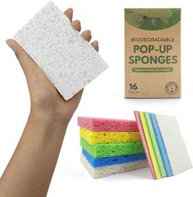 img 4 attached to 🧽 Airnex Biodegradable Cellulose Compressed Sponges - 16-Pack for Efficient Kitchen & Household Cleaning - Heavy Duty, Natural & Multipurpose Sponges Ideal for Kitchen, Bathroom, and Surfaces