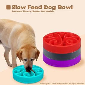 img 3 attached to Wangstar Slow Feeder Bowl For Dogs And Cats - Fun Maze Puzzle Bowl With Bloat Stop Feature, Anti-Skid Design - Blue Color, 8'' X 1.9'' Size