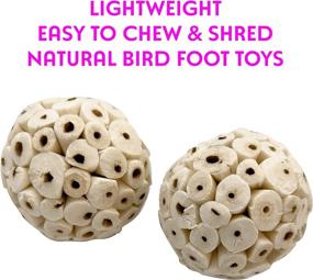 img 2 attached to 🐦 5104 Small Sola Bird Balls Pk4 Mandarin Bird Toys by M&amp;M - All Natural Air Dried Shreddable Foot Toys, Beak-Friendly Chewable, Great Addition to Cage and Toy Collection, Ideal for Budgie Cockatiel Lovebird - Enhanced SEO