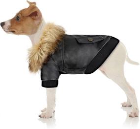 img 4 attached to 🐾 Waterproof and Windproof Dog Leather Jacket: Winter Coat for Small Dogs - Chihuahua, Cat, Puppy - Ideal for Cold Weather