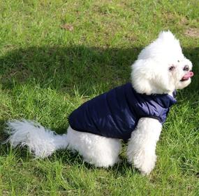 img 1 attached to JoyDaog Layers Fleece Weather Windproof Dogs ~ Apparel & Accessories