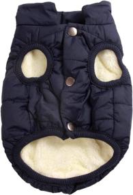 img 4 attached to JoyDaog Layers Fleece Weather Windproof Dogs ~ Apparel & Accessories