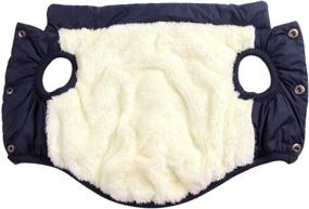 img 3 attached to JoyDaog Layers Fleece Weather Windproof Dogs ~ Apparel & Accessories