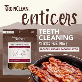 img 3 attached to TropiClean Bacon Flavored Enticers Dental Chews For Dogs, 12 Count - Fresh Breath Dog Treats