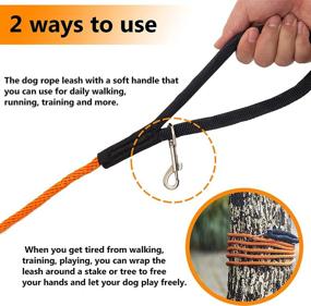 img 2 attached to Long Leash Medium Large Training