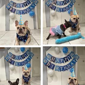 img 2 attached to 🐶 Celebrate your Pet's Special Day with COOLBEY Dog Birthday Party Supplies: Bandana, Hat, Balloon, Banner, Stamp, and Number Decorations